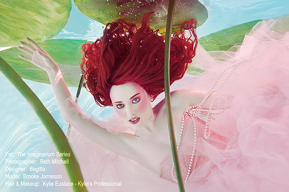 The Imaginarium - Water Lily